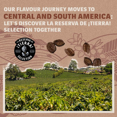 Tierra! Selection Whole Bean Coffee Blend, Medium Roast, 2.2LB Bag , 100% Arabic