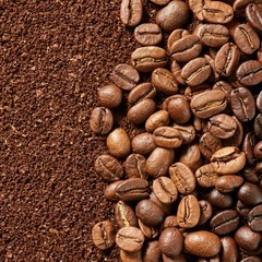 Java Arabica Coffee Beans Fresh Roasted Single Origin Indonesian Whole Bean 1kg
