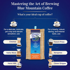 Plantation Blue 100% Jamaica Blue Mountain Coffee Dark Roast Whole & Ground 24oz