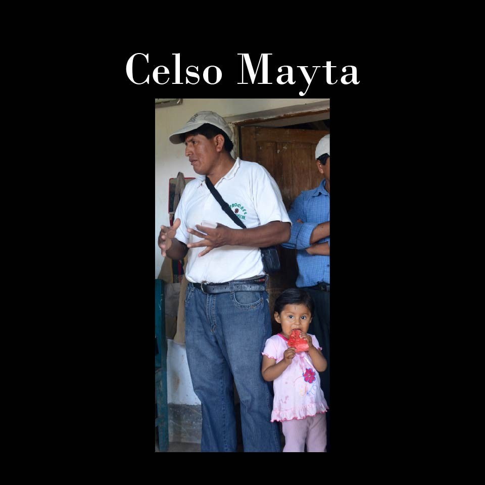 10 lbs Bolivia Microlot: Celso Mayta -Cafe Golondrina FREE SHIPPING