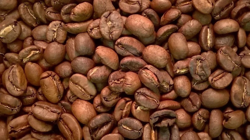 Coffee Beans / Sumatra Lake Toba Lintong/ 10 Pound / ROASTED