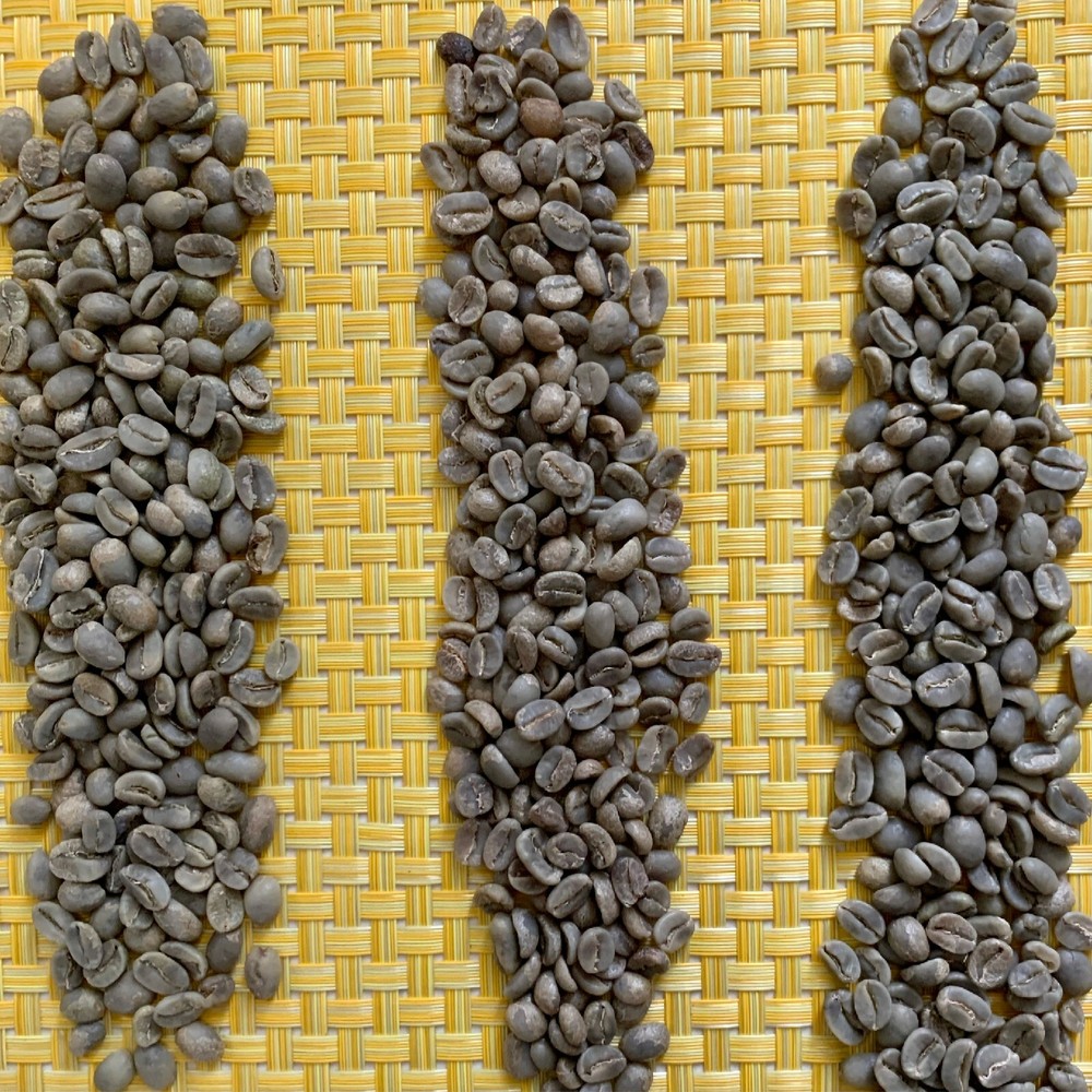 Guatemala Premium Green Coffee Beans Raw Unroasted Specialty Grade