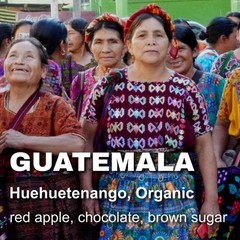 Guatemala Huehuetenango unroasted green coffee beans, Organic, coop-grown, 4lbs