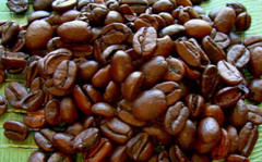 ORGANIC Domincan Republic Santo Domingo Coffee Medium Roast 5 Lbs