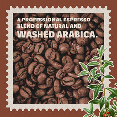 Tierra! Selection Whole Bean Coffee Blend, Medium Roast, 2.2LB Bag , 100% Arabic