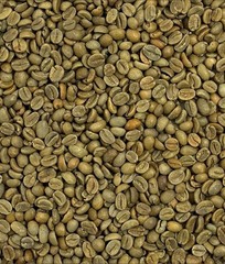 Green Coffee Beans / Bali Kintamani Highlands / 1 Pound / UNROASTED