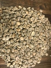 green coffee beans 5 pounds El Salvador Special Process Blend.