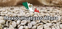 5 LB MEXICAN MEXICO HUATUSCO ALTURA GREEN UNROASTED COFFEE BEANS – ARABICA