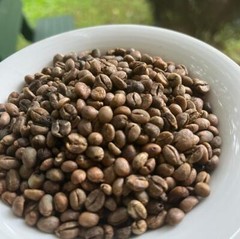 Ceylon Coffee Beans Unroasted 100% Organic Pure Fresh Natural Best Quality 100g