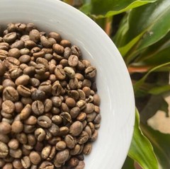 Ceylon Coffee Beans Unroasted 100% Organic Pure Fresh Natural Best Quality 100g