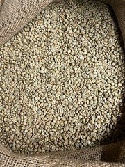 5 LB FRESH UNROASTED EL SALVADOR GREEN COFFEE BEANS FIVE POUND – ARABICA