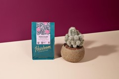 Heirloom Coffee Bedrock Blend Medium Dark Roast Whole Bean 12oz Organic Fair …