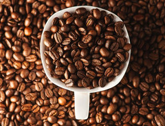 Lavazza Crema e Aroma Whole Bean Coffee, Medium Roast, 2.2 lb Bag – PACK OF 6