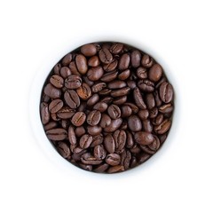 Drago | Organic Artisan Blend | Fresh Roasted Coffee