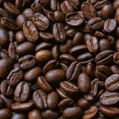 Best seller Sumatra Mandheling Coffee Beans | Fresh Roasted Arabica Premium 500g