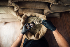 Honduran Green Coffee Beans – SHG EP – Premium Unroasted – Sweet & Balanced