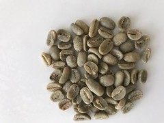 5 LBS Brazilian Santos #14/16 Green Bean Coffee FREE SHIPPING!