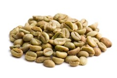 2lb/40lb – Ethiopian Harrar Natural – Premium Unroasted Green Coffee Beans