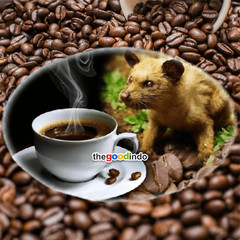 Premium Wild Kopi Luwak Arabica Coffee by Sakha @200G COFFEE BEANS INDONESIA