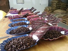 Lavanta Coffee Guatemala Antigua SHB Arabica Green or Roasted Coffee