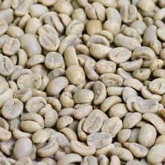 Gourmet Raw Unroasted Whole Coffee Beans by It’s Delish, 1 LB