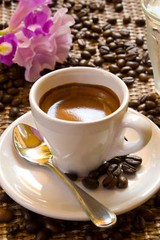 esp1 Ybor City Cafe Supremo – Gourmet Espresso 2 bags Whole Bean Coffee