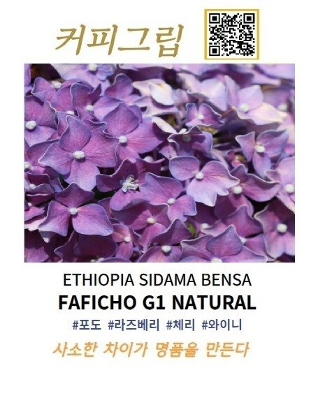 Faficho Natural (Ethiopia Sidama) – Korea light roast whole bean coffee 100g