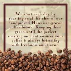 Ka’u Coffee Mill Washed Medium Roast Whole Bean Coffee – Bright Aroma – Plum …