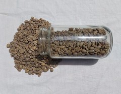 6 lb, le Cafe de Bondowoso – Arabica Coffee