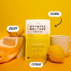 Counter Culture Roast Packs 2 Bags Light Roast Coffee Beans Whole Organic