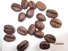 Arabica Medium roast Roasted coffee beans 500gms