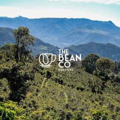 THE BEAN CO Arabica Blend (Pour Over/Drip, 250 g) Free Shipping World Wide