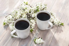 8oz/5lb – Papua New Guinea – Asia Pacific – Fresh Roasted To Order Coffee