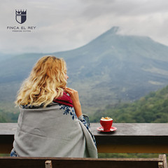 Finca El Rey -Medium Roast Whole Bean Organic Coffee, USDA Organic, 100% Arabica