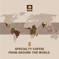 Nicaraguan Segovia Whole Bean Coffee Single Origin Fresh Roasted 12 Ounce