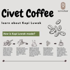 500g Luwak Coffee Arabica Gayo 100% Wild Civet Whole Beans Coffee Roasted