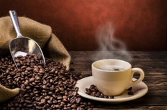 Kopi Luwak Roasted Coffee Beans – Wild Ethical Shangri-La Coffee – Indonesian