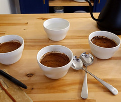 RECLINE: Ethiopia Guji Gorebeti SWP Decaf whole bean coffee with Reishi & Kava
