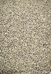 10 Pounds Premium, Unroasted, Columbian, Green Coffee Beans by Colony Coffee