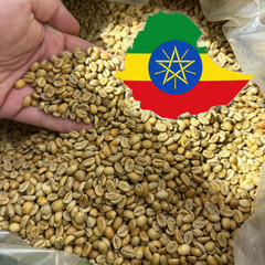 2LB, 5 LB ETHIOPIA, 87 CUP SCORE UNROASTED GREEN COFFEE BEANS FIVE POUND