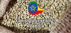 5 LBS ETHIOPIAN ETHIOPIA LEKEMPTI GREEN UNROASTED COFFEE BEANS – ARABICA