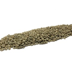 1 LB HIGH ALTITUDE PERUVIAN PERU UNROASTED GREEN COFFEE BEANS – ORGANIC ARABICA