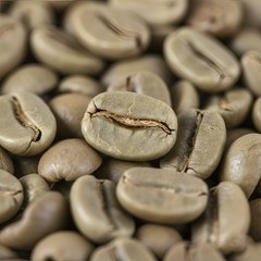 BEST NEW! Java Robusta Green Coffee Beans 1kg – Authentic Raw Greenbean