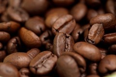 2026 Brazilian Santos Bourbon – Fresh Roasted Coffee – 2 Bags – Whole Bean