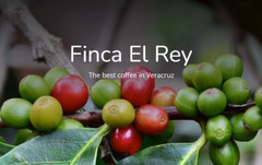 Finca El Rey -Medium Roast Whole Bean Organic Coffee, USDA Organic, 100% Arabica
