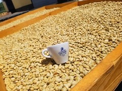 100% Arabica Whole Bean Coffee – 2 lbs of Exquisite Puerto Rican Roast