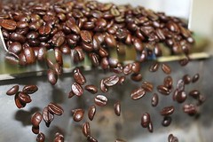 100% Hawaiian / Kona Coffee Beans Medium Roasted 10 Bags 1 Pound Each