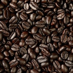 Kirkland Signature Whole Bean French Roast Coffee 2.5LB