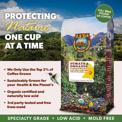 Low Acid Organic Coffee – Whole Bean, Mold-Free & Stomach Friendly by , Sumatran