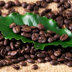 AiWaWa CA, Zavida Organica PREMIUM Whole Bean Organic Coffee 907 g/ 2 LB